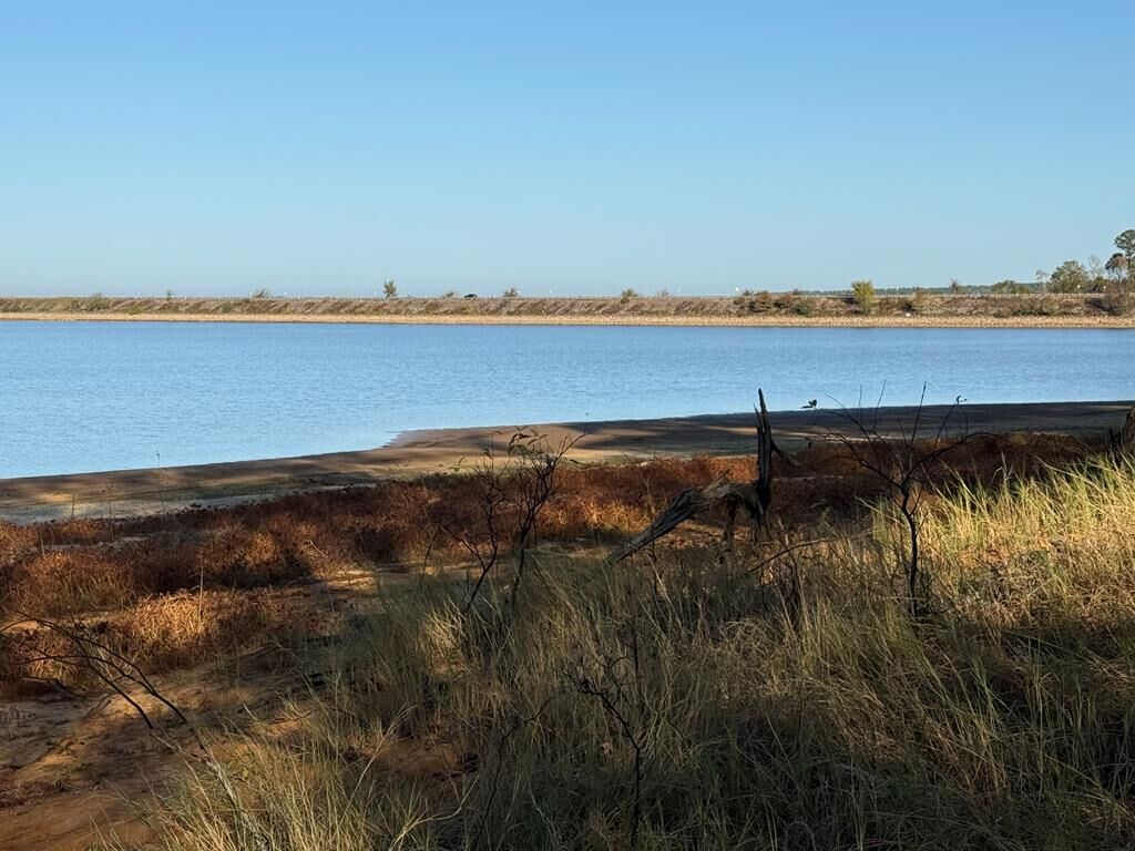 Property Photo:  L9631 Cr 467  TX 75944 