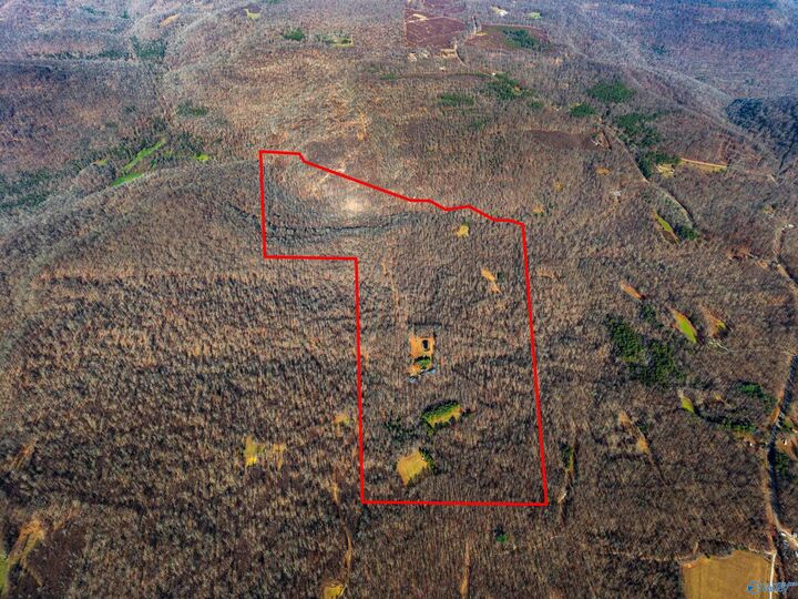 Property Photo:  1011 County Road 303  AL 35766 