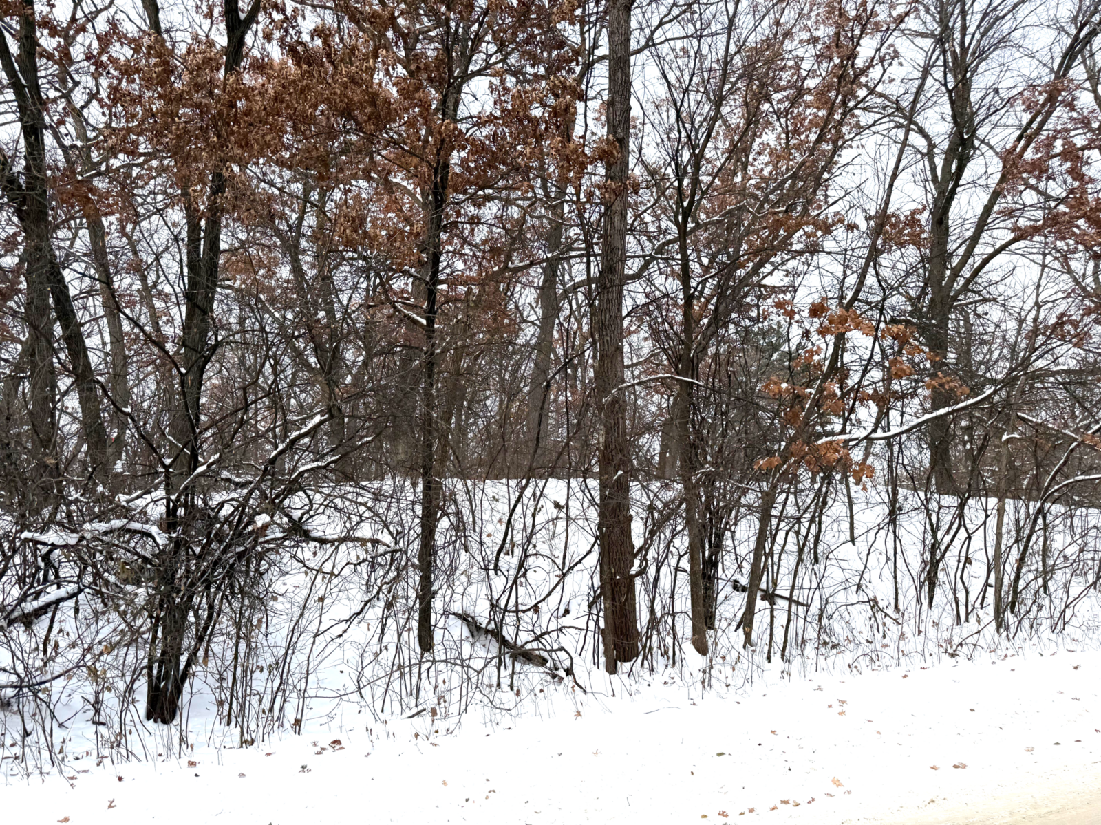 Property Photo: 371 Totem Road MN 55119