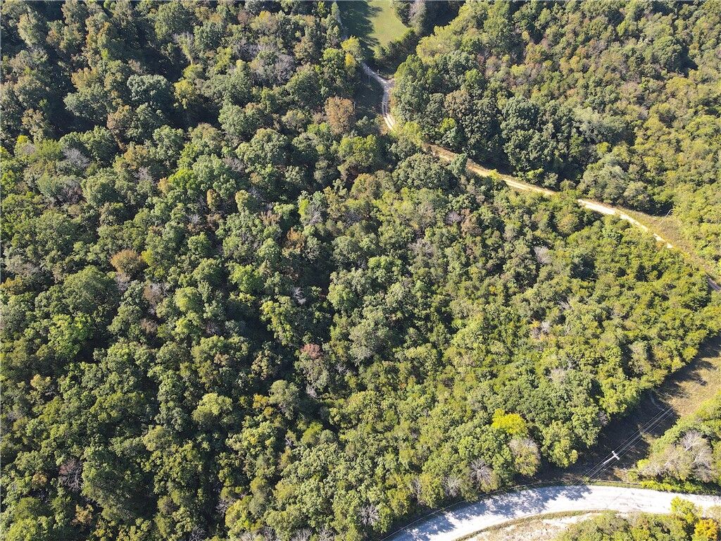 Property Photo: Cisco Road AR 72616