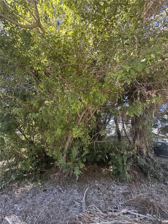 1115 15th Avenue SW  Vero Beach FL 32962 photo