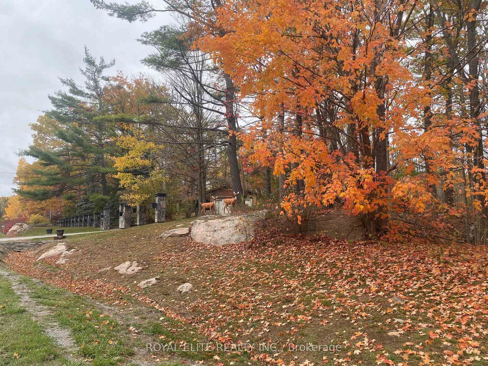 Property Photo:  2943 County Rd 36 N/A  ON K0L 1J0 