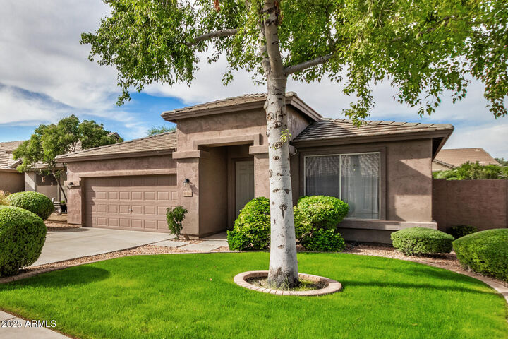 Property Photo: 30128 N Yellow Bee Drive AZ 85143