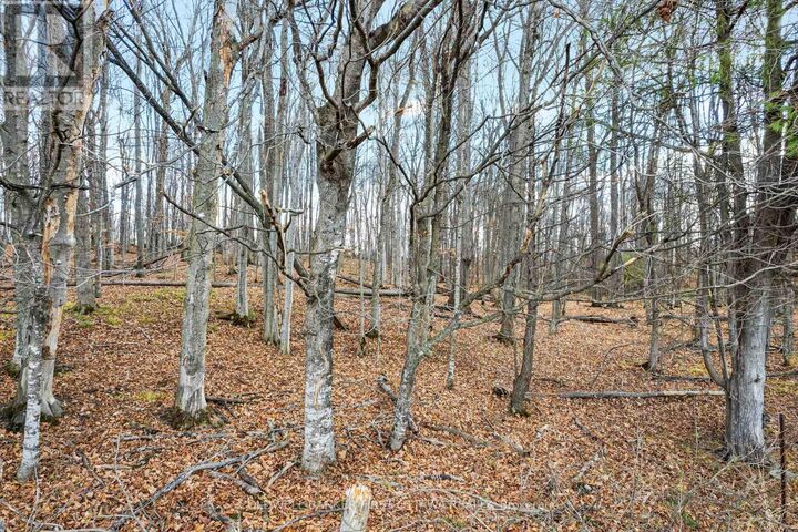 Photo de la propriété:  Pt 2-00 Herron Mills Road  ON K0G 1K0 