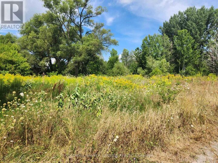 Property Photo: 115 Poole Street ON K7S 1J1