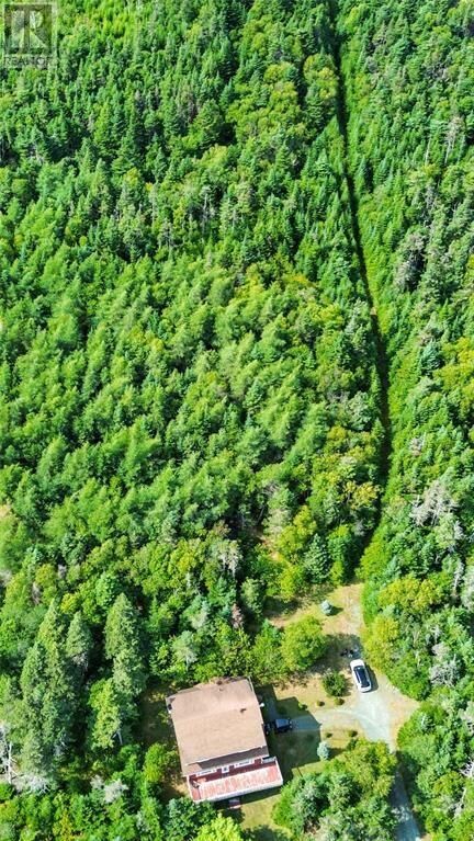 Property Photo: 582-594 Indian Meal Line NL A1K 1G5