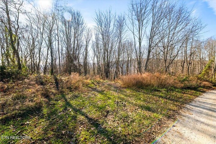 Property Photo:  183 Persimmon Lane  TN 37847 