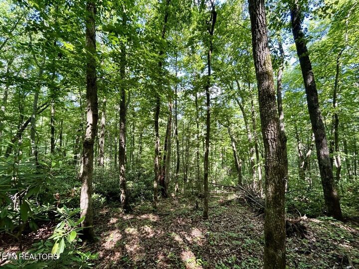 Property Photo:  0 Grand Country Drive  TN 37722 