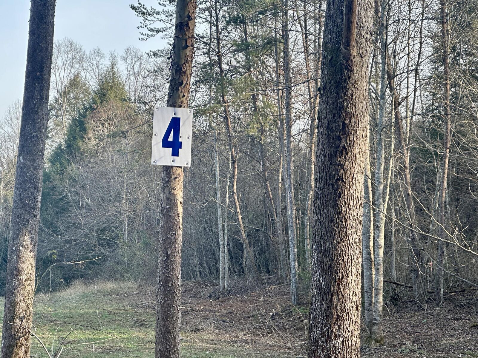 Property Photo:  Lot 4 Radford Road  KY 40729 