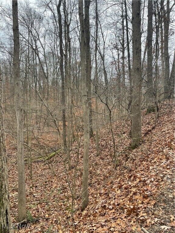 Property Photo: 0 McKee Hill Road OH 43822