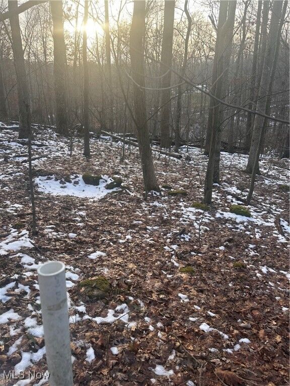 Property Photo: 0 McKee Hill Road OH 43822