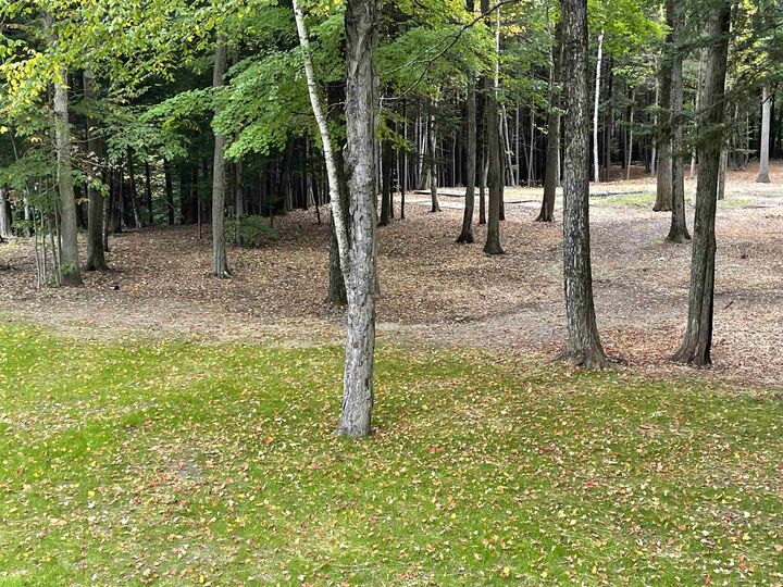 Property Photo: 66 Saltmarsh Pond Road NH 03249