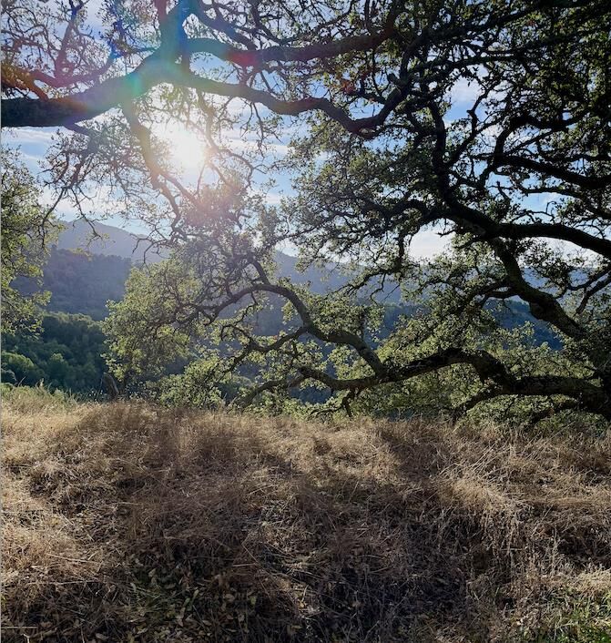 Property Photo:  0 Via Vespero  CA 95120 