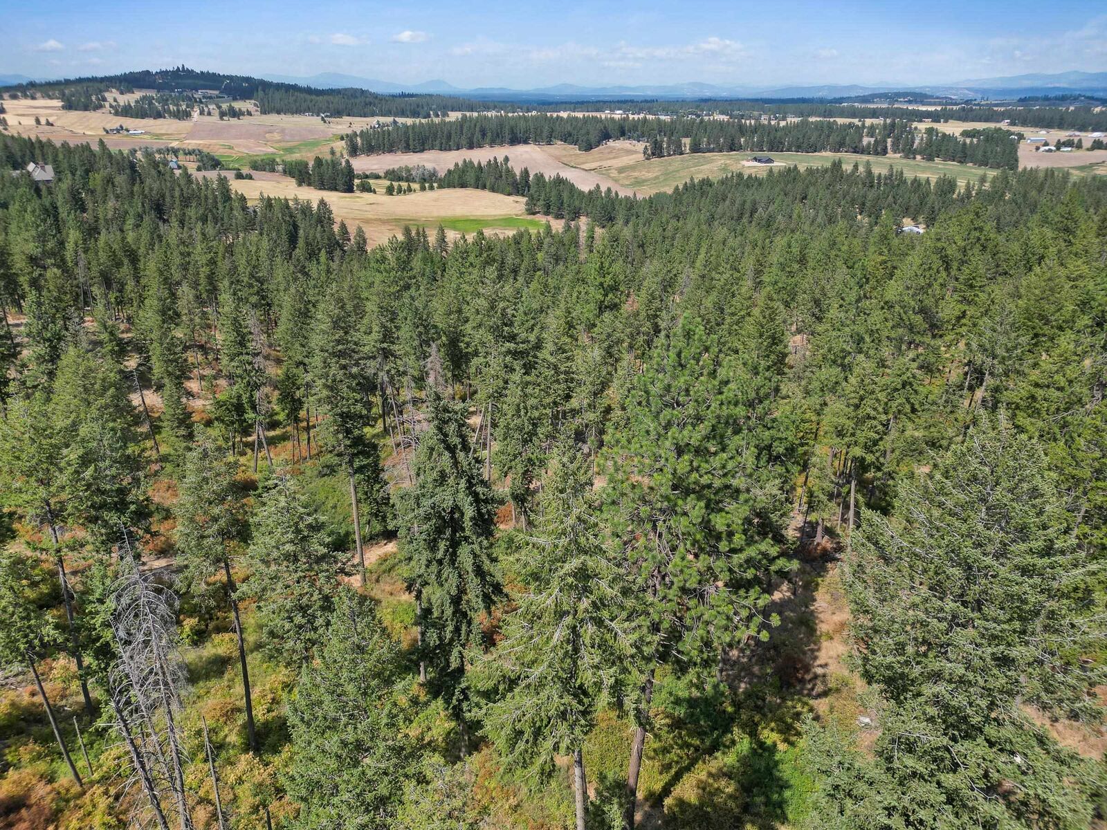 Property Photo:  Nka W Ballard Rd Lot 1-C  WA 99208 