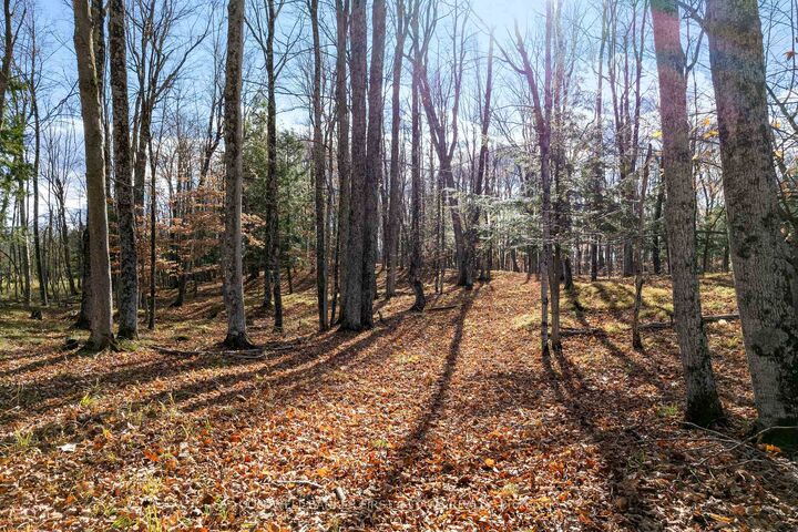 Pt 2-00 Herron Mills Road — photo 1