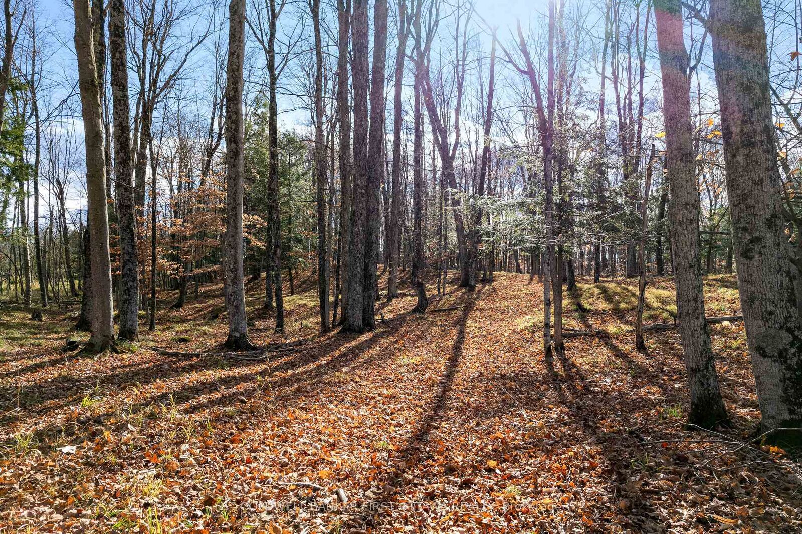Property Photo: Pt 2-00 Herron Mills Road ON K0G 1K0