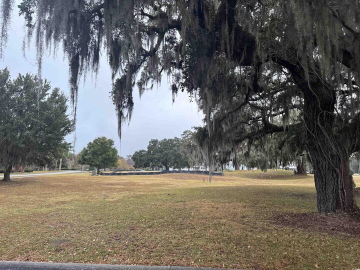 Property Photo: 616 Green Meadows Circle SC 29440