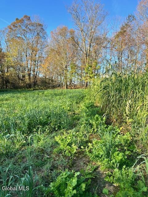 Property Photo: 168 George Peasley Road NY 13758