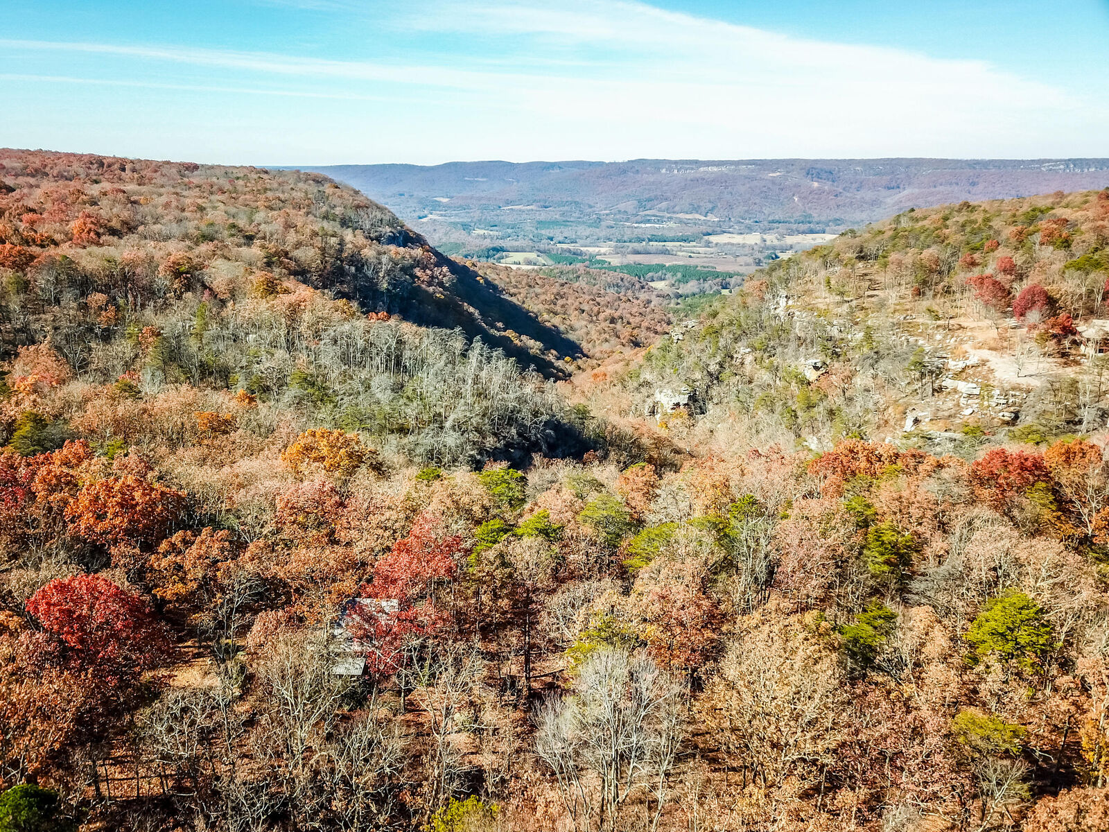 Property Photo:  1401 Dale Trail  GA 30731 