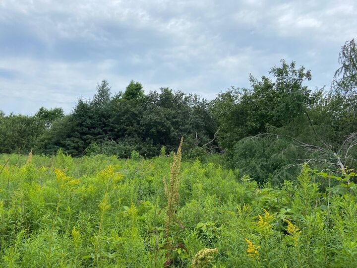 Property Photo:  Lot 22-1 Primrose Road  PE C0A 1G0 