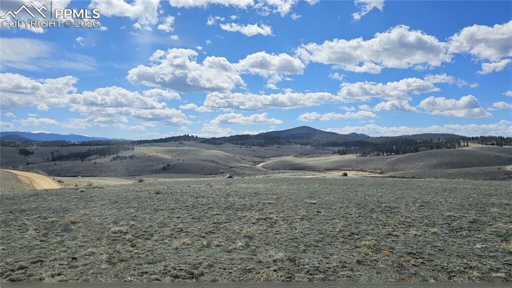 Property Photo:  329 Albino Road  CO 80456 