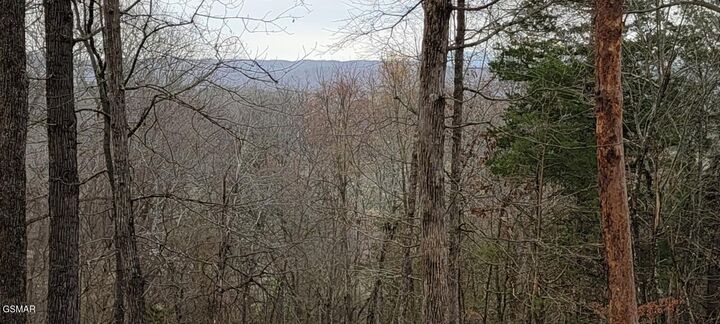 Property Photo:  Lot 1427 Hillside Place  TN 37890 