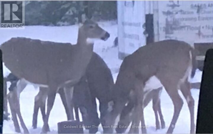 Property Photo:  183 Sandhill Road  ON P0A 1Z0 