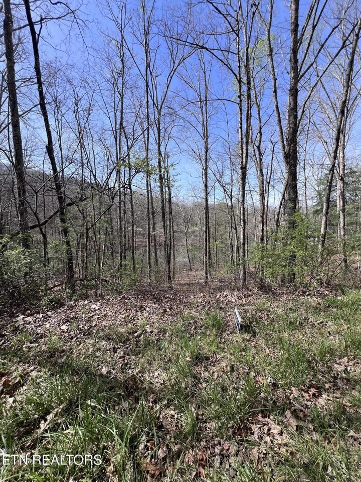 Property Photo:  0.19 Ac Hickory Hollow Rd  TN 38572 