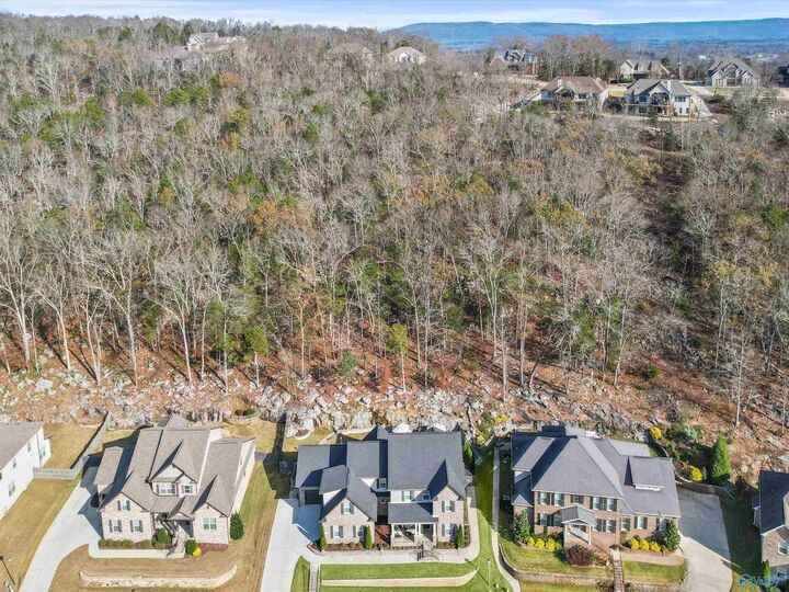 Property Photo: 7063 Pale Dawn Place AL 35763