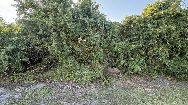 Property Photo:  4462 SW Gainsboro Street  FL 34953 