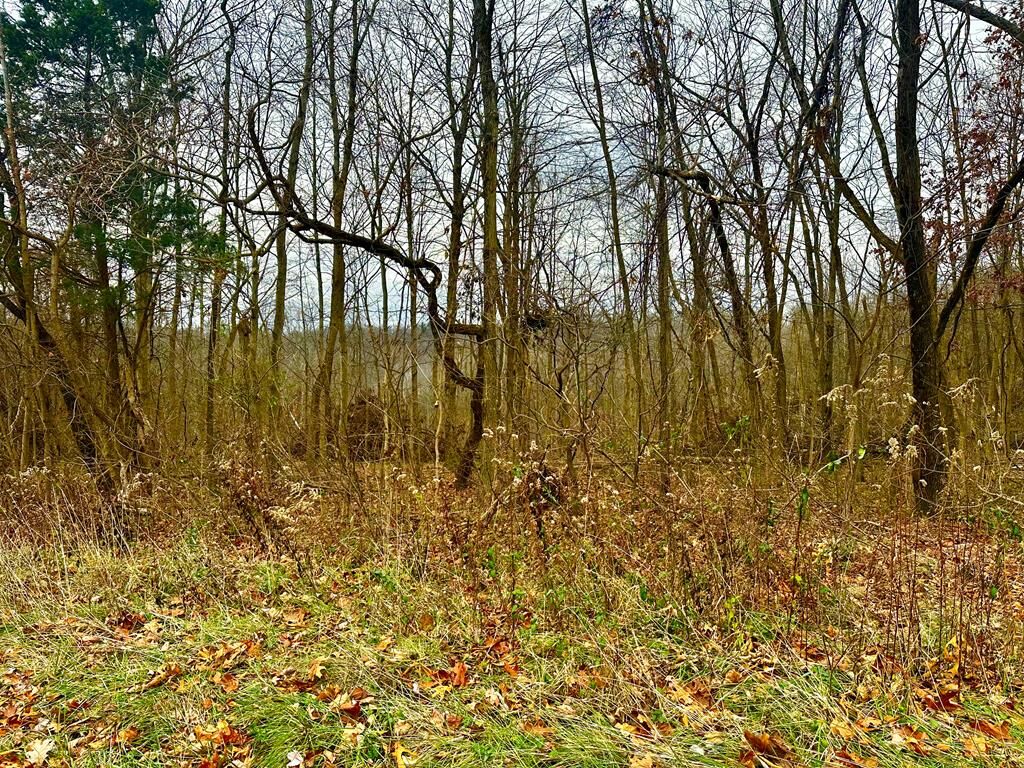 Property Photo:  560 Landrum Road  OH 45612 