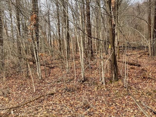 Property Photo: 00 Pennsylvania Avenue West PA 16365