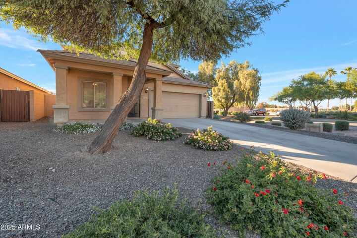 Property Photo: 41344 N Salix Drive AZ 85140