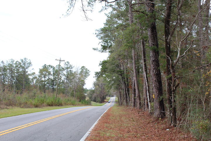 100ac Co Hwy 183  Ponce De Leon FL 32455 photo