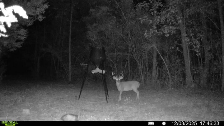 Property Photo: Parcel A&B Sunburst Drive FL 32539