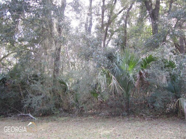 Property Photo: V/L 1005 Doubloon Court GA 31558