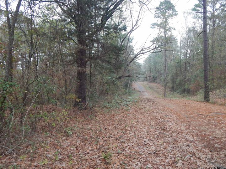 Property Photo:  Tbd Ashwood  TX 75645 