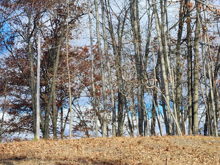 Property Photo: 10980 N Marywood Drive MI 49346