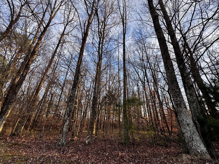 Property Photo:  0 Bluff Rd  TN 38469 