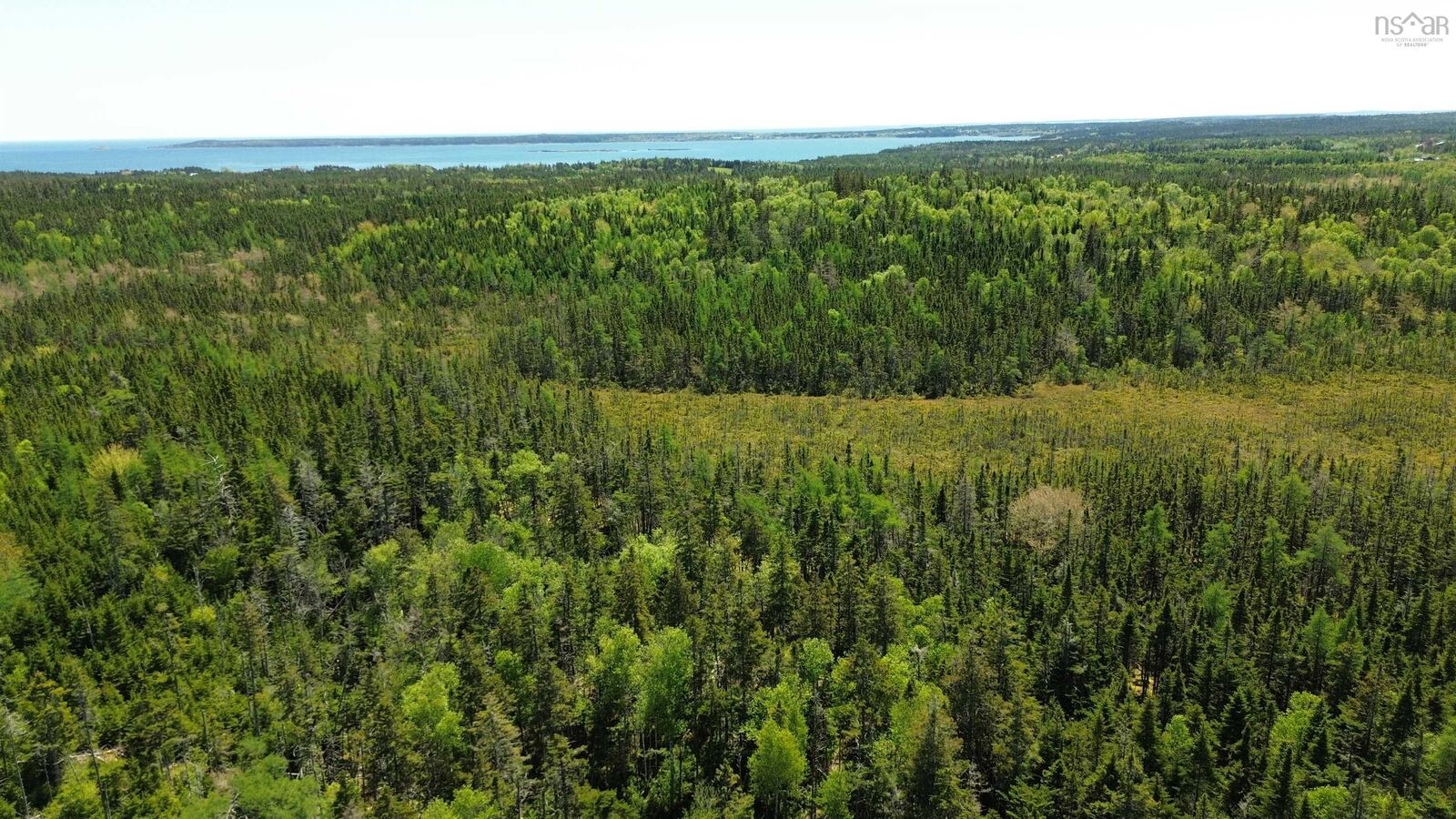 Property Photo:  320 Highway  NS B0E 1K0 