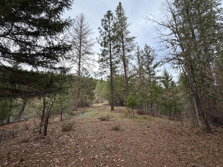 Property Photo: 0 E Evans Creek Road 10149540 OR 97503