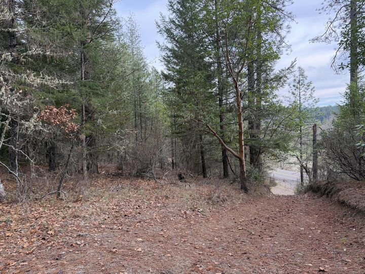 Property Photo: 0 E Evans Creek Road 10149540 OR 97503