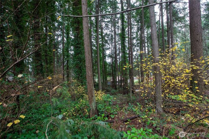 Property Photo: 6943 20th Avenue E WA 98503