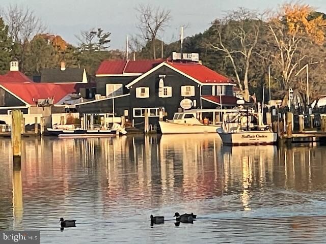 Property Photo: 216 E Chew Ave MD 21663