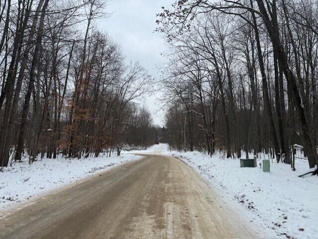 Property Photo:  12066 Red Feather Lane  MI 49346 