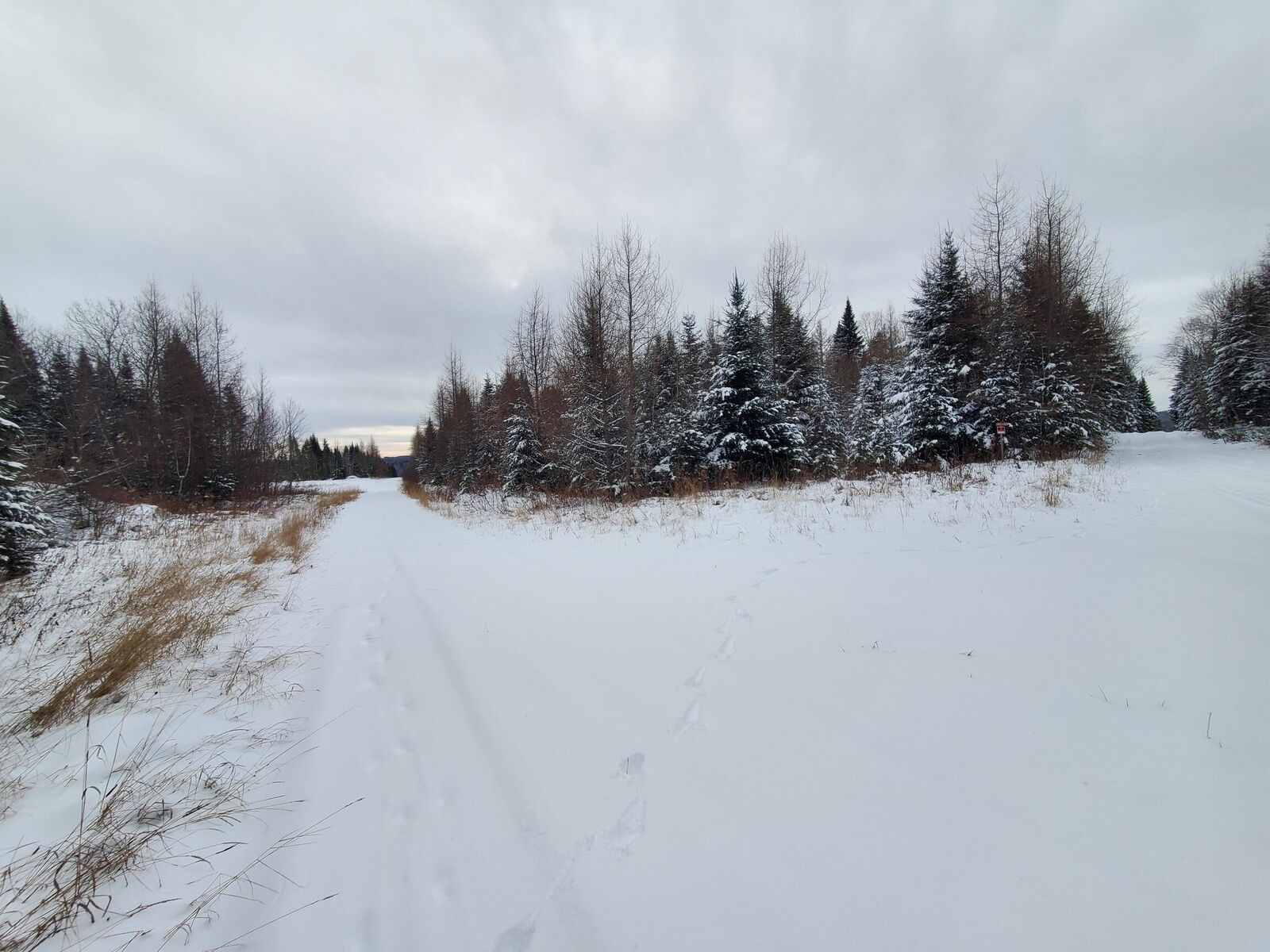 Property Photo:  0 Off Jemtland Road Lot 82.5  ME 04736 