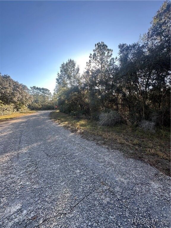 Property Photo: 3908 W Tropic Lane FL 34433