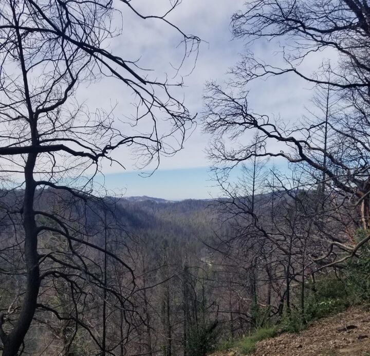 Property Photo: 20604 Little Basin Road CA 95006