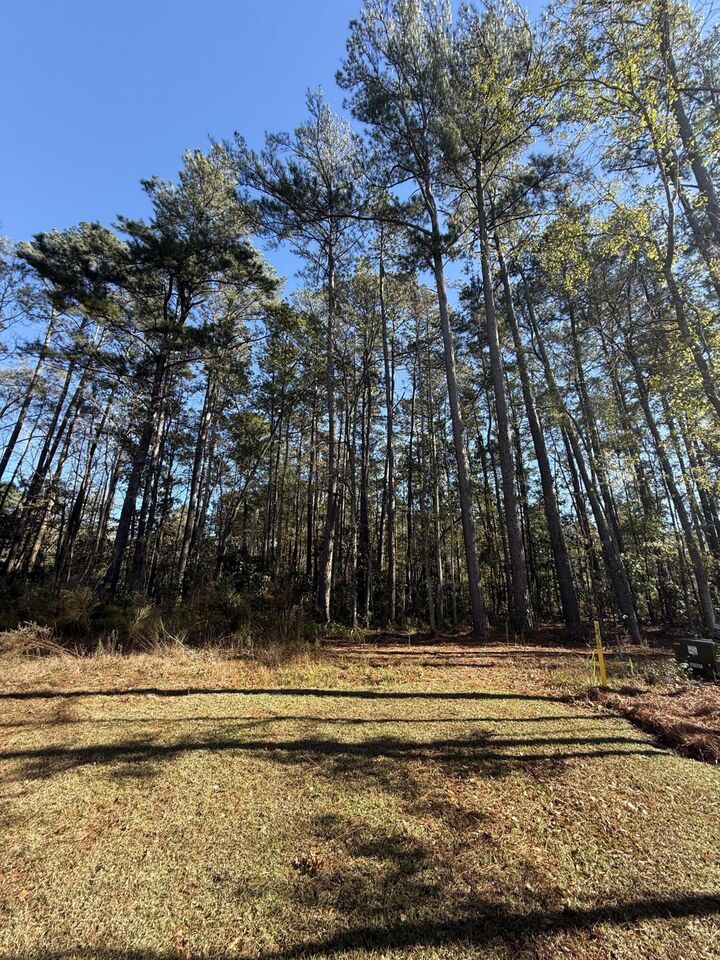 Property Photo:  0 Almond Court  SC 29483 