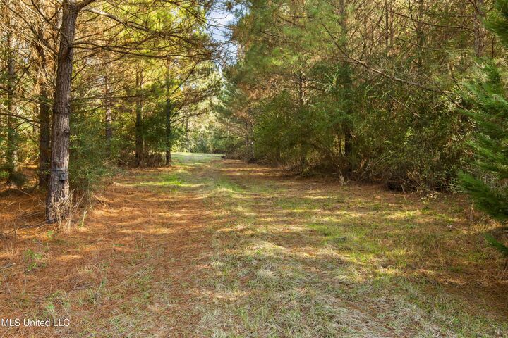 Property Photo: Katie Bush Road MS 39149